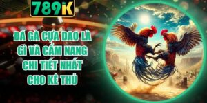 Đá Gà Cựa Dao Là Gì